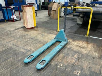 Immagine panoramica di 2019 Ameisse pallet truck